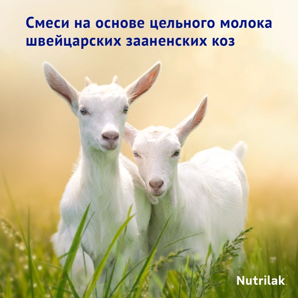 Echki sutidan tayyorlangan Nutrilak Premium 3 bolalar sutli ichimligi 